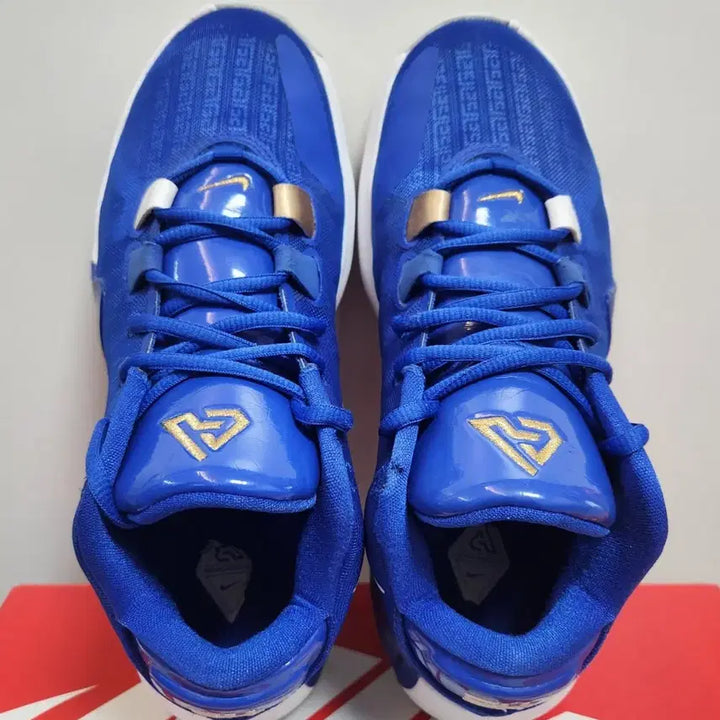 [BUNJANG] Nike Zoom Freak 1 Greece Basketball Shoes / 나이키 줌프릭 1 그리스 240mm 농구화