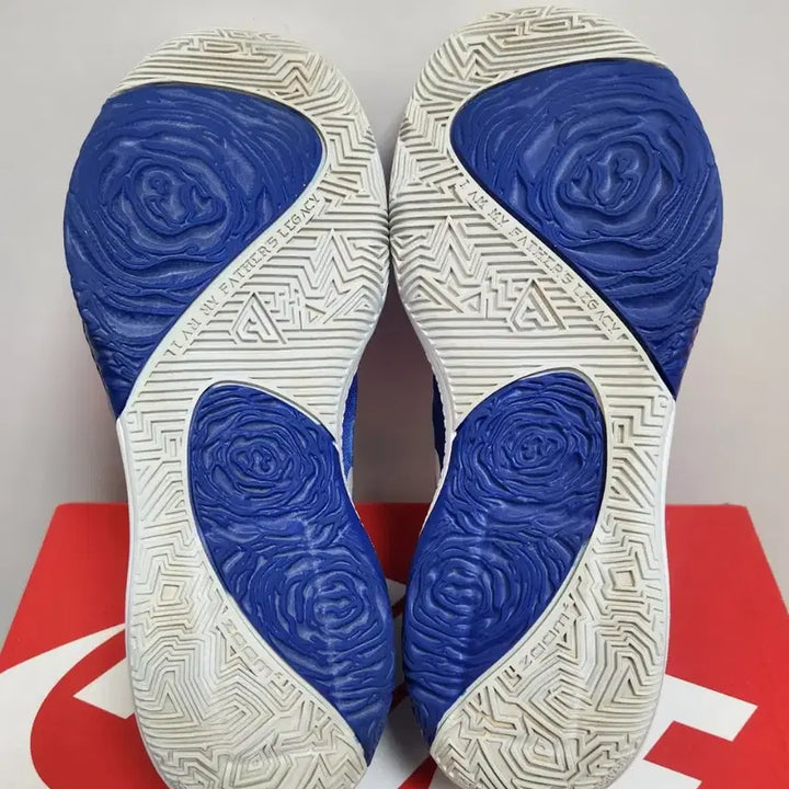 [BUNJANG] Nike Zoom Freak 1 Greece Basketball Shoes / 나이키 줌프릭 1 그리스 240mm 농구화