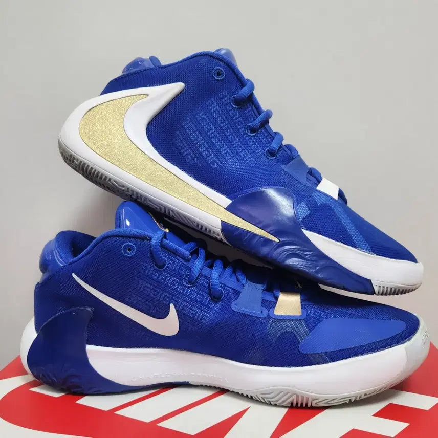 [BUNJANG] Nike Zoom Freak 1 Greece Basketball Shoes / 나이키 줌프릭 1 그리스 240mm 농구화