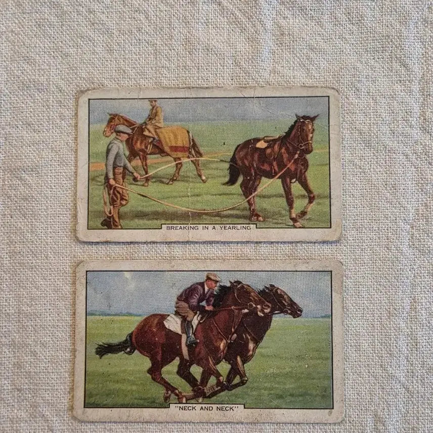 [BUNJANG] Gallaher Ltd Racing Scenes Vintage Cards - Bundle Set / 일괄> 영국빈티지카드 유럽빈티지카드 경마 경주마 말 빈티지소품 엔틱소품