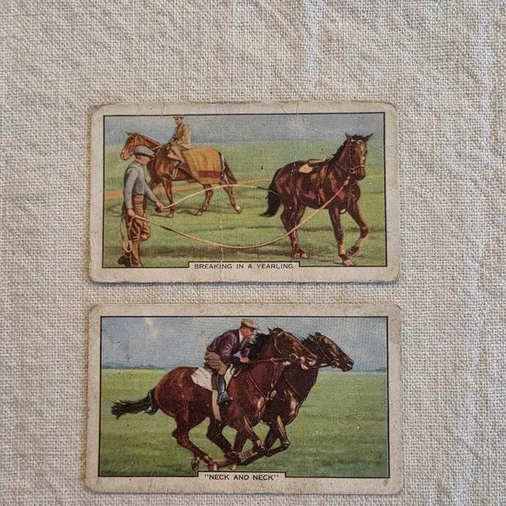 [BUNJANG] Gallaher Ltd Racing Scenes Vintage Cards - Bundle Set / 일괄> 영국빈티지카드 유럽빈티지카드 경마 경주마 말 빈티지소품 엔틱소품