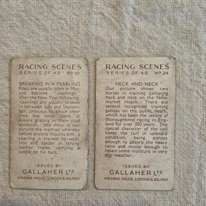 [BUNJANG] Gallaher Ltd Racing Scenes Vintage Cards - Bundle Set / 일괄> 영국빈티지카드 유럽빈티지카드 경마 경주마 말 빈티지소품 엔틱소품