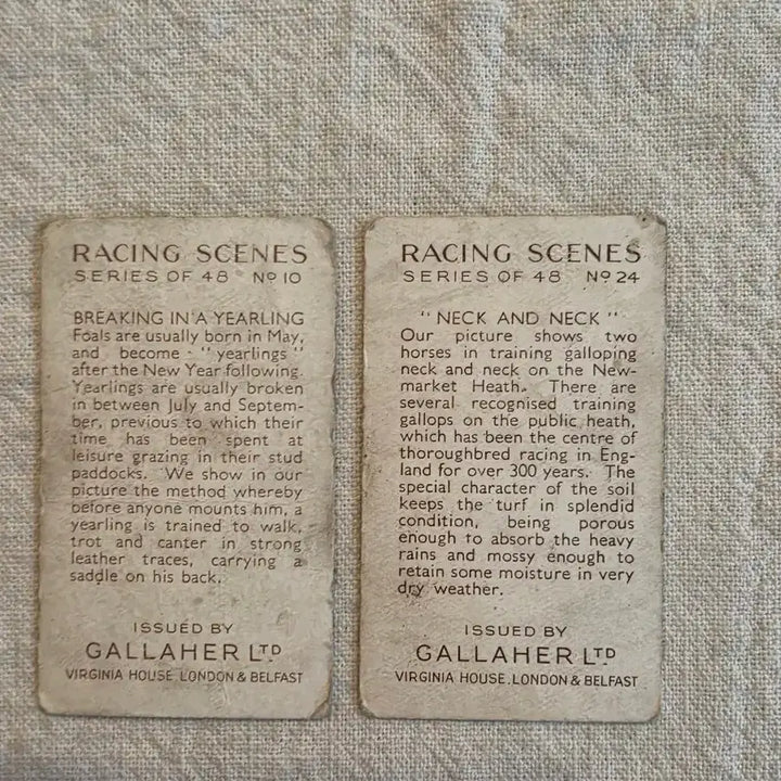 [BUNJANG] Gallaher Ltd Racing Scenes Vintage Cards - Bundle Set / 일괄> 영국빈티지카드 유럽빈티지카드 경마 경주마 말 빈티지소품 엔틱소품
