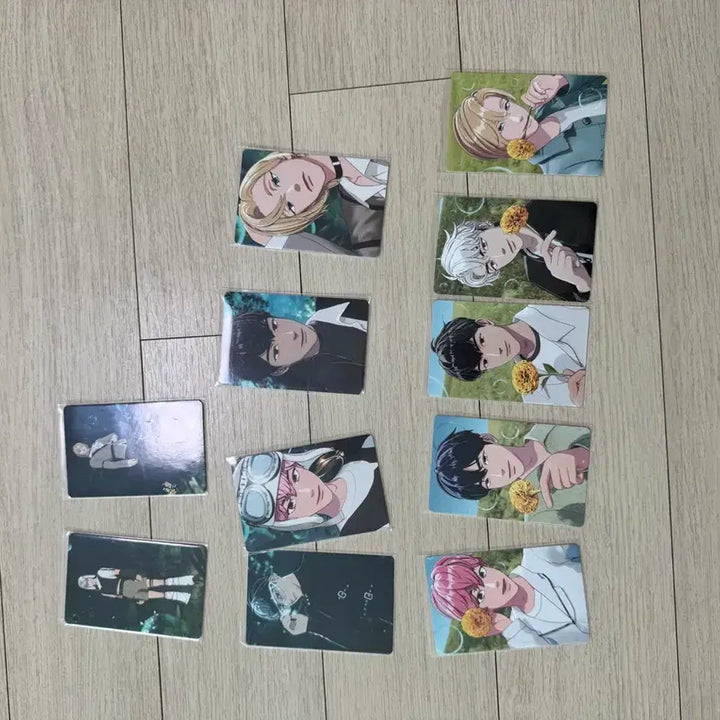 [BUNJANG] PLAVE Photocard Bundle Set / 일괄판매 플레이브포토카드