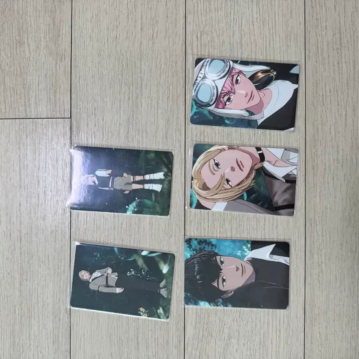 [BUNJANG] PLAVE Photocard Bundle Set / 일괄판매 플레이브포토카드