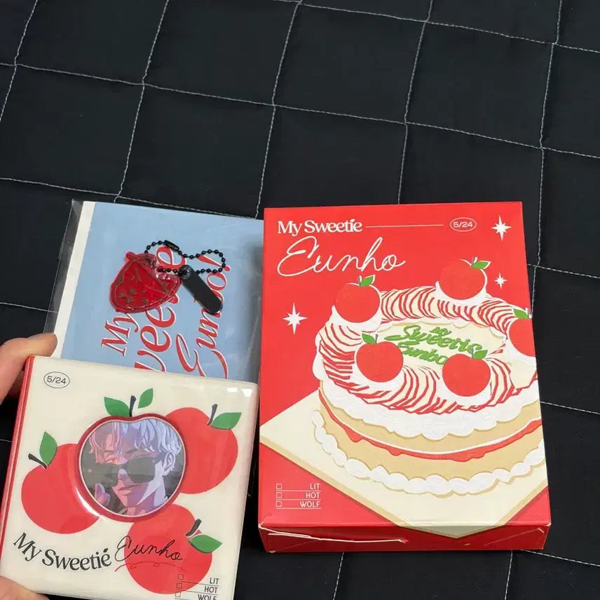 [BUNJANG] PlayV Doh Eun-ho Birthday Kit / 플래이브 도은호 생일키트