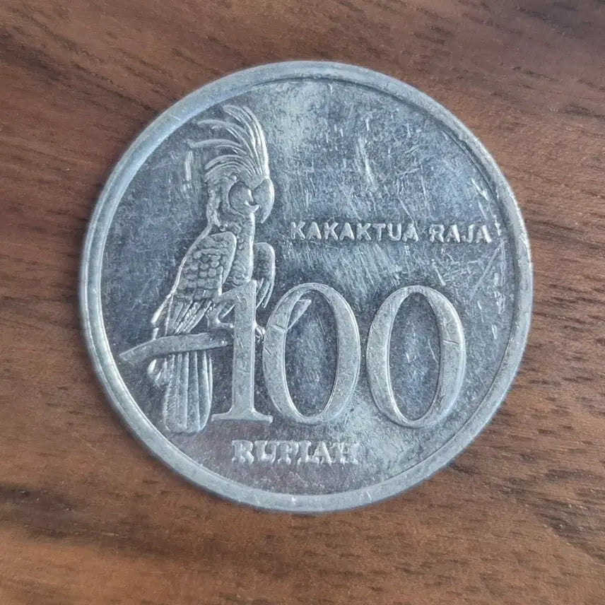 [BUNJANG] Indonesia 100 Rupiah Coin (1999) / [EP. 927] 1999년 인도네시아 100 루피아 동전