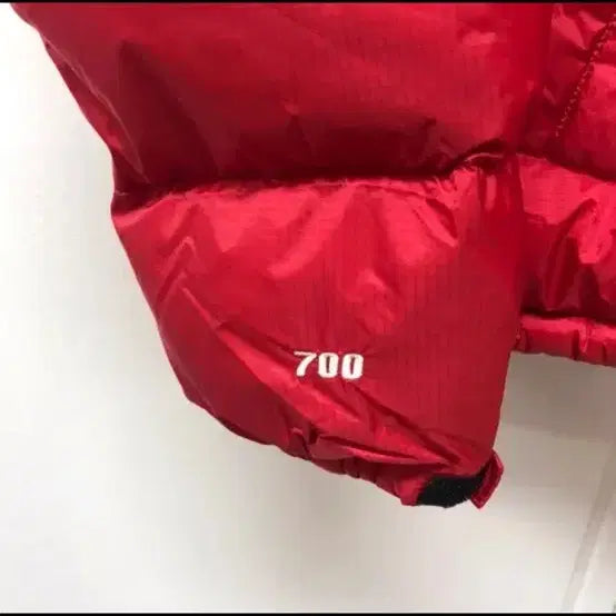 [SOLD OUT] 노스페이스 써밋 윈드스토퍼 퍼텍스 패딩 (L 100-105)