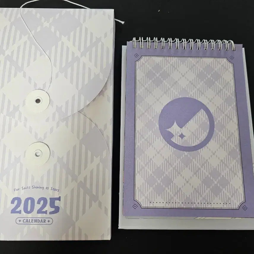 [BUNJANG] Stellive 2025 Calendar (Error Edition) / 스텔라이브 2025 달력 오류판