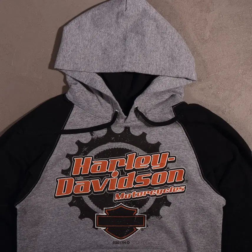 [BUNJANG] Harley-Davidson Raglan Hooded Sweatshirt / 할리데이비슨 나그랑 후드티 C391
