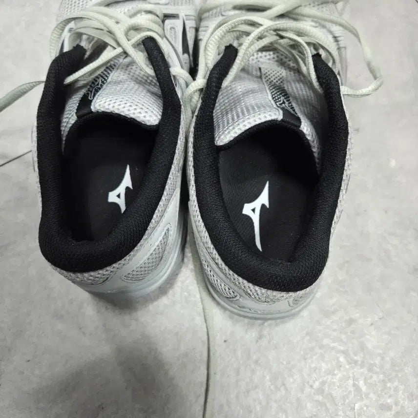 [BUNJANG] Mizuno Maximizer 25 Mushroom Sneakers / 미즈노 맥시마이저25 오아스터 머쉬룸260