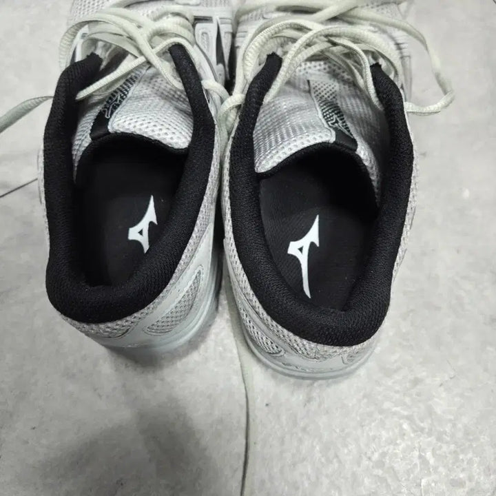 [BUNJANG] Mizuno Maximizer 25 Mushroom Sneakers / 미즈노 맥시마이저25 오아스터 머쉬룸260