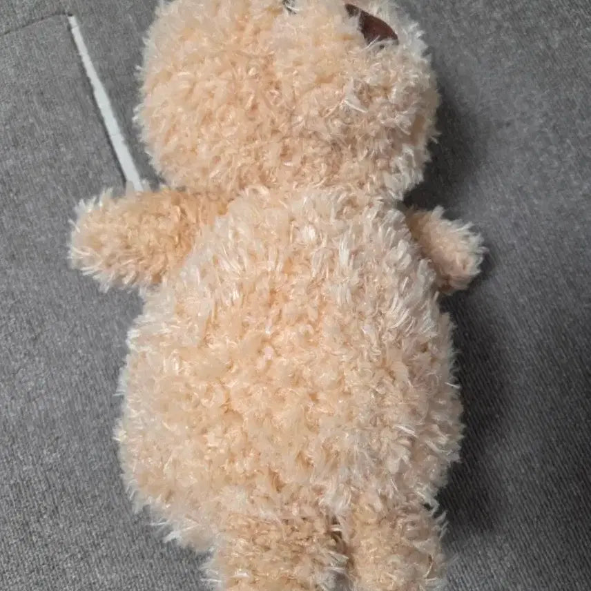 [BUNJANG] Fluffy Bear Plush Toy / 복실복실 곰인형 애착인형