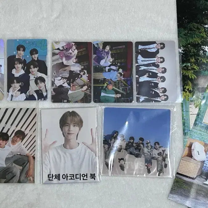 [BUNJANG] TWS Group Photocard Bundle Set / 투어스 단체 포카 등