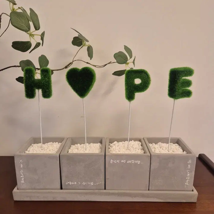 [BUNJANG] BTS J-Hope Hob-pot Flower Pot / Bts jhop 방탄소년단 제이홉 홉팟 화분 양도