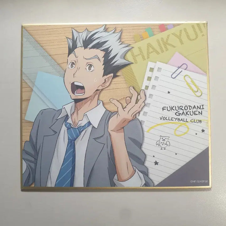 [BUNJANG] Bokuto Koutaro Akaashi Keiji Merchandise Bundle Set / 보쿠아카 보쿠토 아카아시 카드텍, 포카, 엽서, 색지, 핀버튼 등