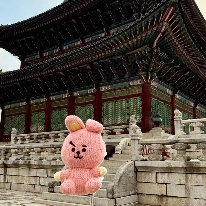 [BUNJANG] BT21 COOKY Knit Keyring Doll / BT21 니트 쿠키 키링인형(새상품)