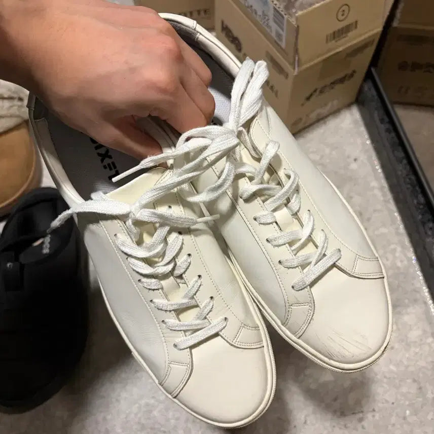[BUNJANG] Sixfit Sneakers 265 / 식스핏 스니커즈 265 팝니다.