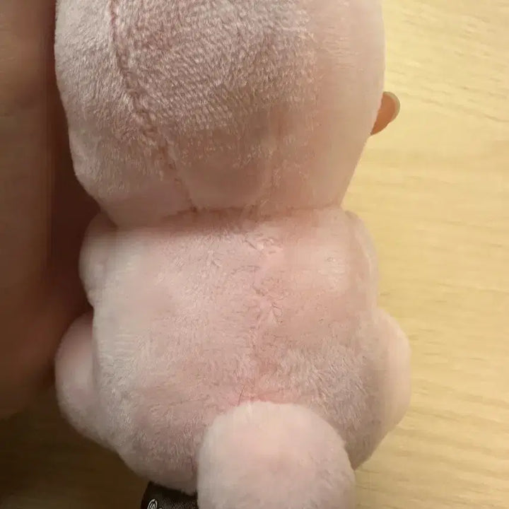 [BUNJANG] Day6 Wonpil Naan Doll / 데이식스 원필 나안아인형