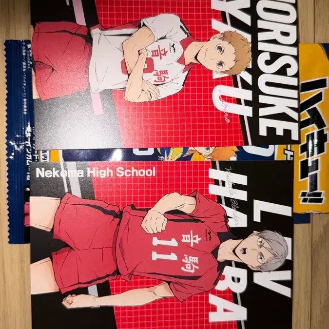 [BUNJANG] Haikyuu Nekoma Yaku &amp; Lev Postcard / 하이큐 엽서 카드 - 네코마(야쿠, 리예프)