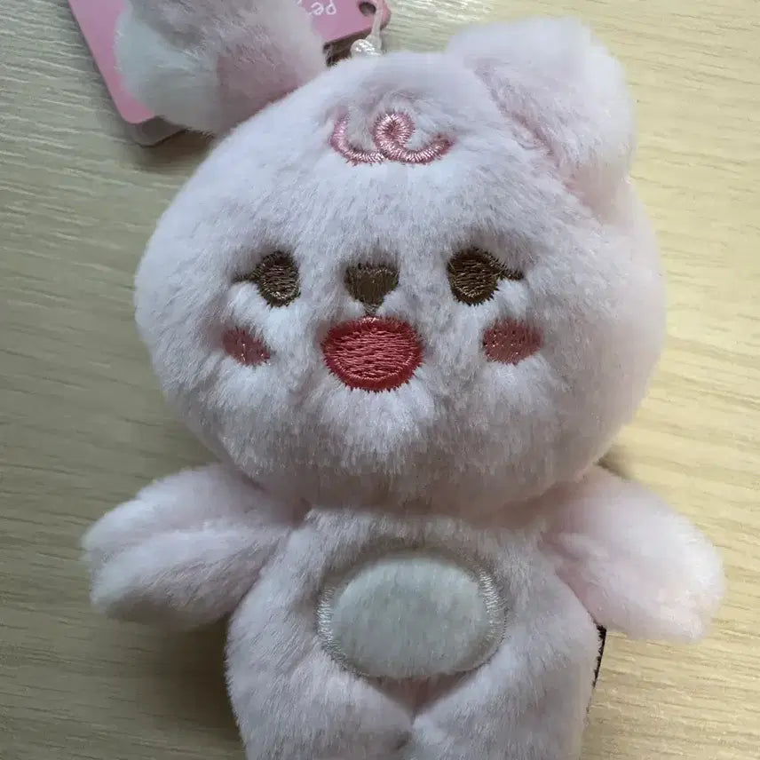 [BUNJANG] Day6 Wonpil Petite Merch Doll / 데이식스 원필 쁘띠멀즈