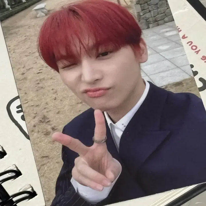 [BUNJANG] SF9 Inseong Photocard / SF9 포토카드