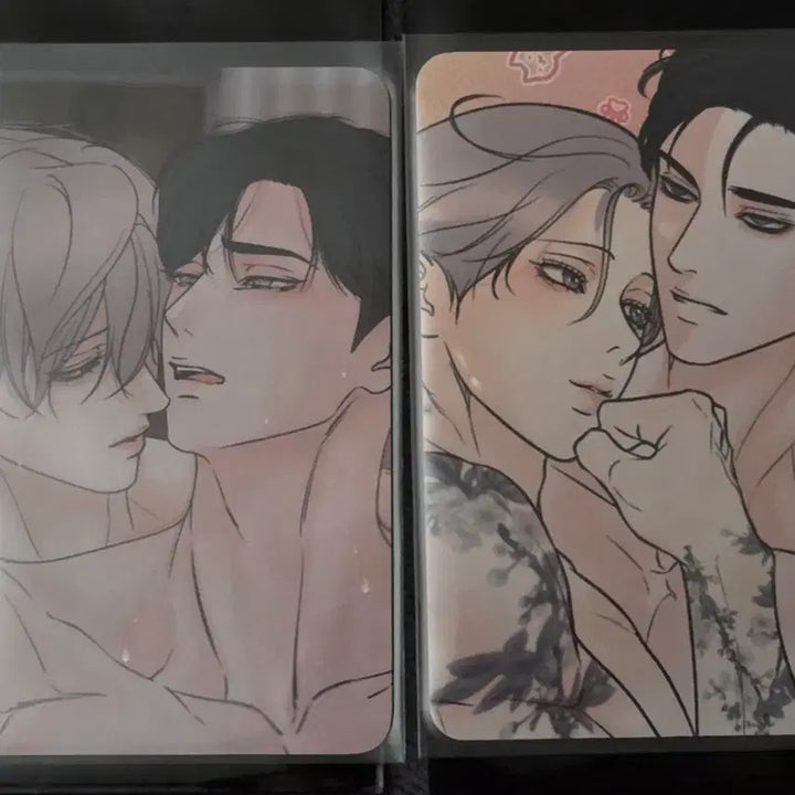 [BUNJANG] Leebom POB Bundle Set / 미혹의경계 미혹경 레봄 특전 포카 일괄