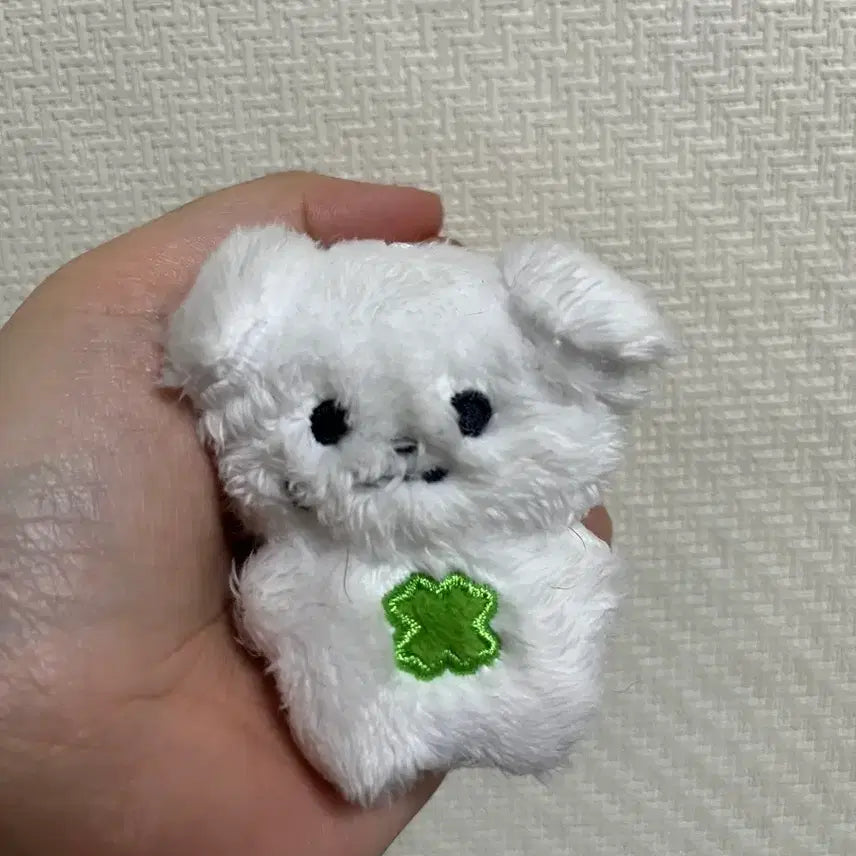 [BUNJANG] Moonbin Mungjja Bean Doll / 멍짜빈 팝니다. 꼬질미의 대명사. 문빈 굿즈