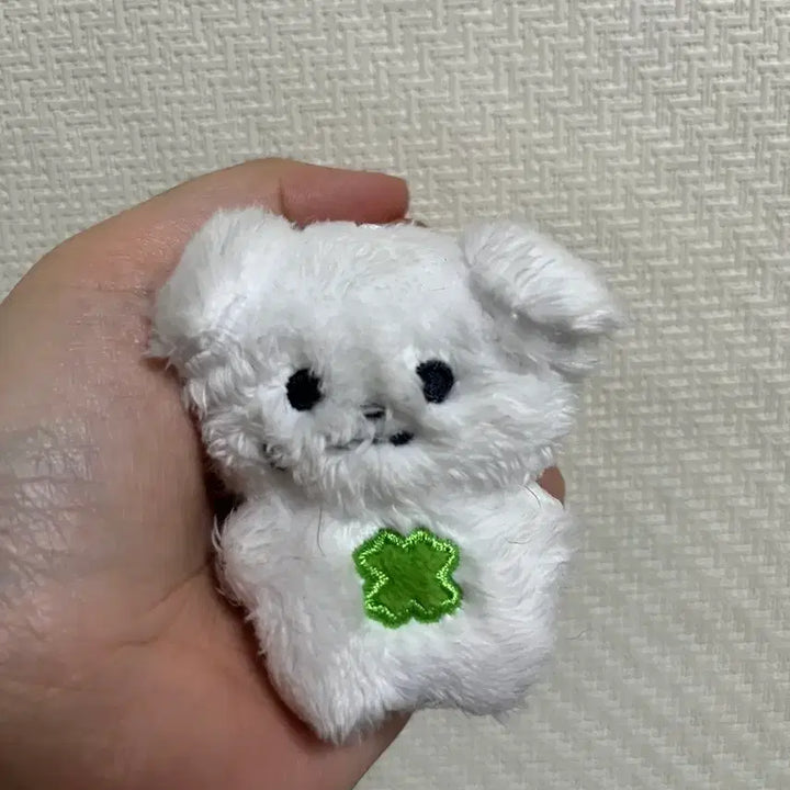 [BUNJANG] Moonbin Mungjja Bean Doll / 멍짜빈 팝니다. 꼬질미의 대명사. 문빈 굿즈