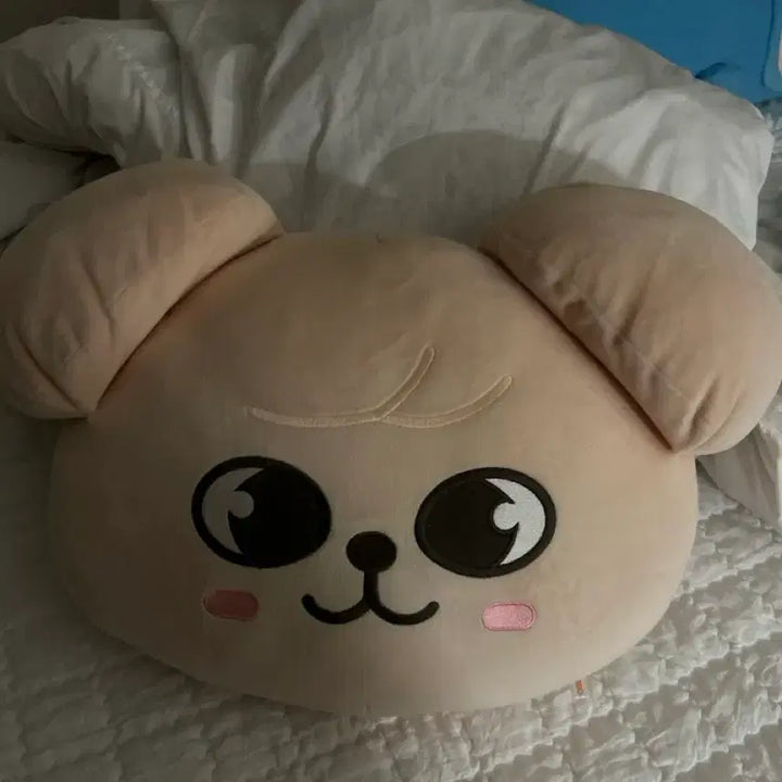 [BUNJANG] SKZ Seungmin Face Plush Doll / 스키주 퍼핌 페이스 인형