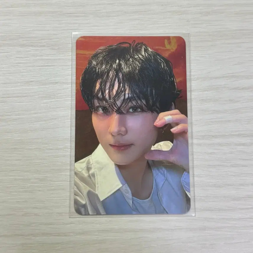 [BUNJANG] ENHYPEN Jungwon POB Lucky Draw Photocard / 엔하이픈 정원 브힛백 공방 포카 양도 판매 특전 럭드 굿즈 미공포 엑소