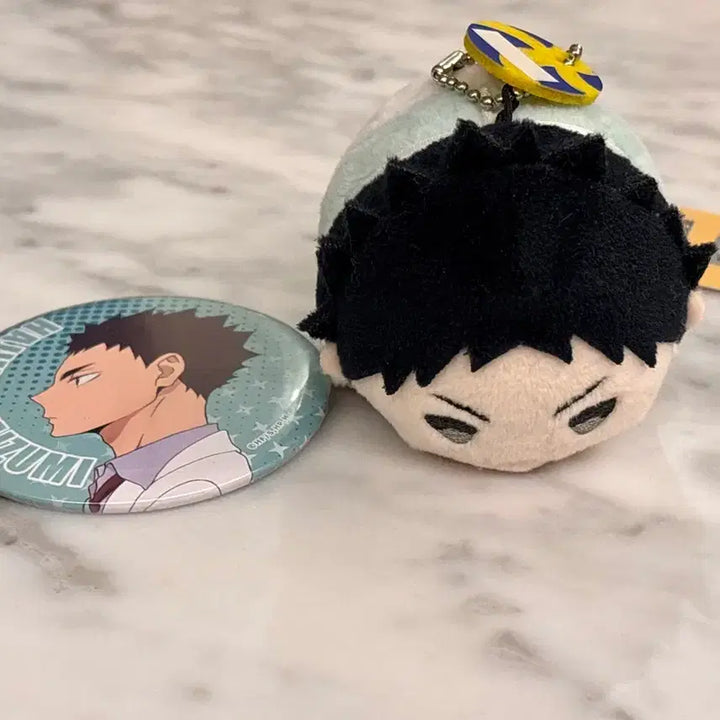 [BUNJANG] Haikyuu! Iwaizumi Bundle Set / 하이큐 이와이즈미 모찌마스, 뱃지 일괄 판매
