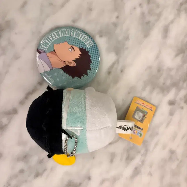 [BUNJANG] Haikyuu! Iwaizumi Bundle Set / 하이큐 이와이즈미 모찌마스, 뱃지 일괄 판매
