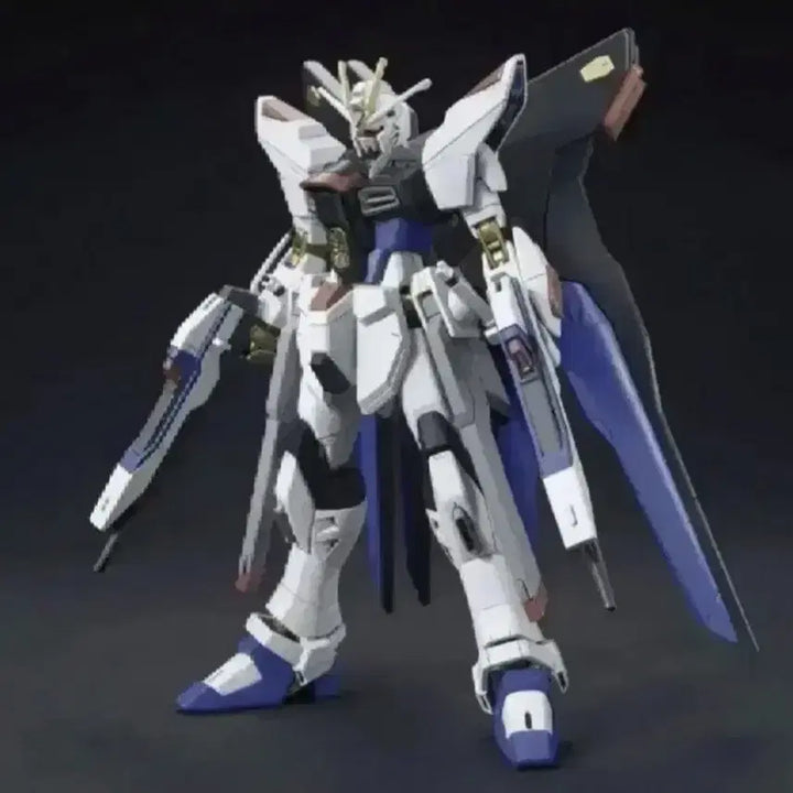 [BUNJANG] Bandai HG Strike Freedom Gundam Model Kit / 로보트 반다이 건프라 프라모델 HG 스트라이크 프리덤 건담 SEED