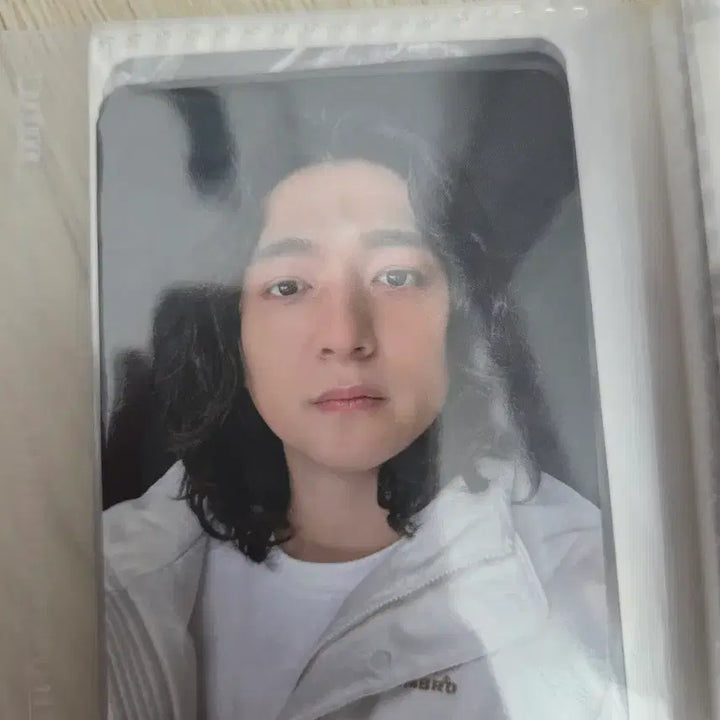 [BUNJANG] Day6 Umbro Sungjin Dowoon Photocard / 데이식스 엄브로 성진 도운 포카 팝니다