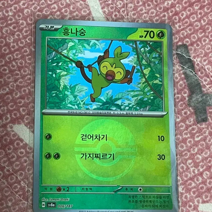 [BUNJANG] Pokemon Monster Ball 3 Types Trading Card / 포켓몬 카드 몬스터볼 3종