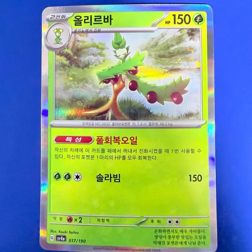 [BUNJANG] Pokemon Olirba Card / 포켓몬카드 올리르바 카드