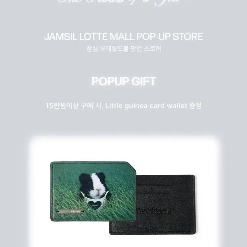 [BUNJANG] Miseki Seoul Ray Guinea Card Wallet / 미세키서울 레이 기니 카드지갑