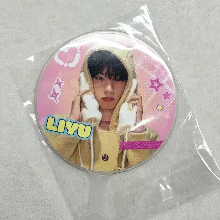 [BUNJANG] Choi Ripwoo Uchiwa Fan / 최립우 우치와 미니우치와 판매
