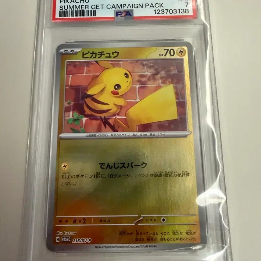 [BUNJANG] Pokemon Pikachu 2024 Summer Campaign Card Set / 포켓몬카드 피카츄 2024 서머 캠페인 psa9 8 7 세트