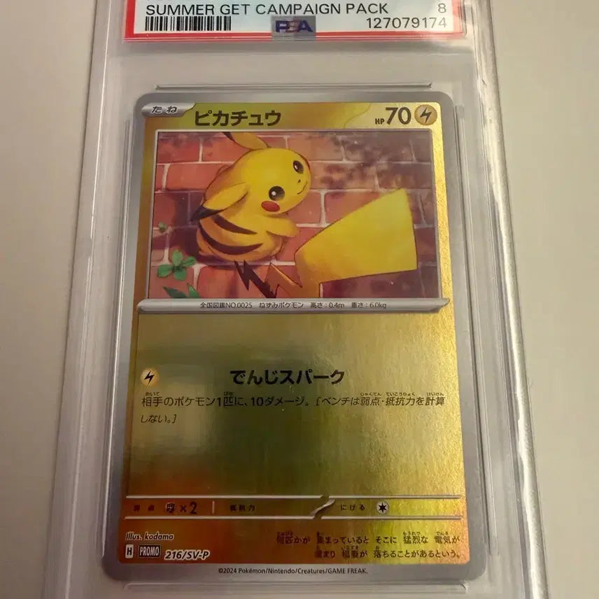 [BUNJANG] Pokemon Pikachu 2024 Summer Campaign Card Set / 포켓몬카드 피카츄 2024 서머 캠페인 psa9 8 7 세트