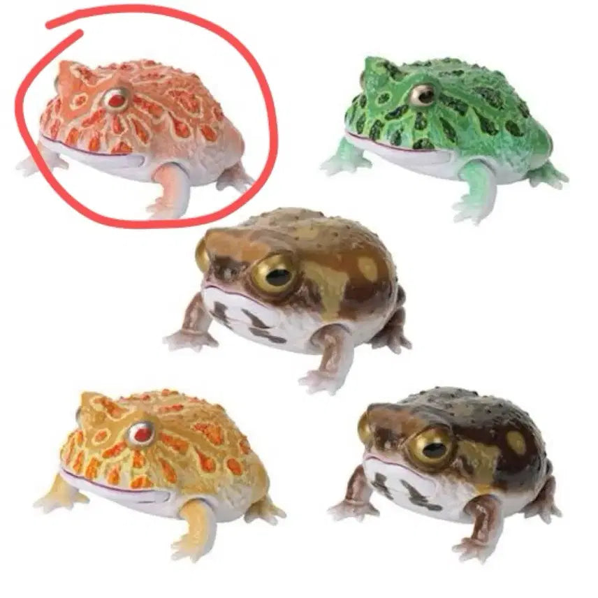 [BUNJANG] Bandai Leptopelus Vermiculatus Figure / 반다이 생물대도감 레쁘티 뿔개구리 가챠 미개봉