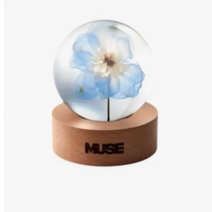 [SOLD OUT] 지민 뮤즈 문진 개봉 상품 판매