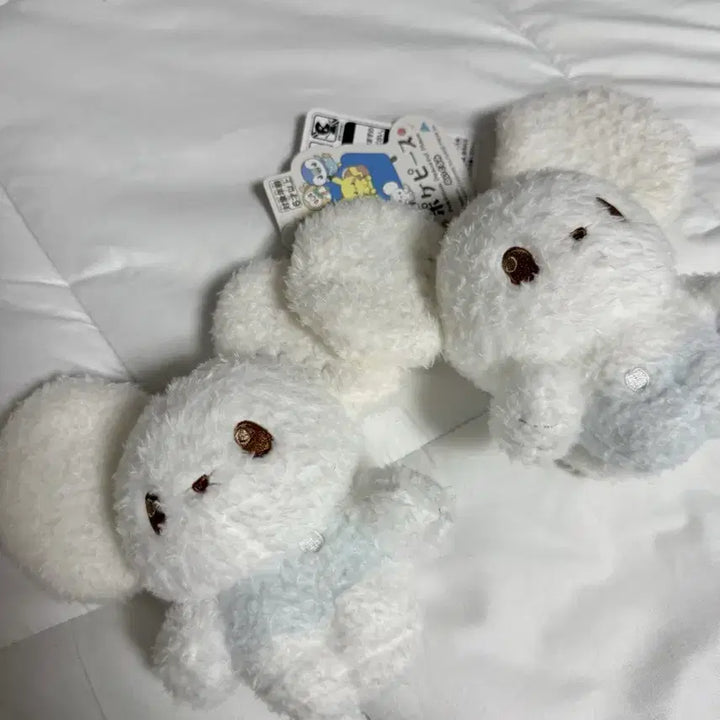 [SOLD OUT] [일본에서만 판매]일본 포켓몬센터 두리쥐인형