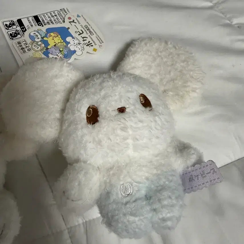 [SOLD OUT] [일본에서만 판매]일본 포켓몬센터 두리쥐인형