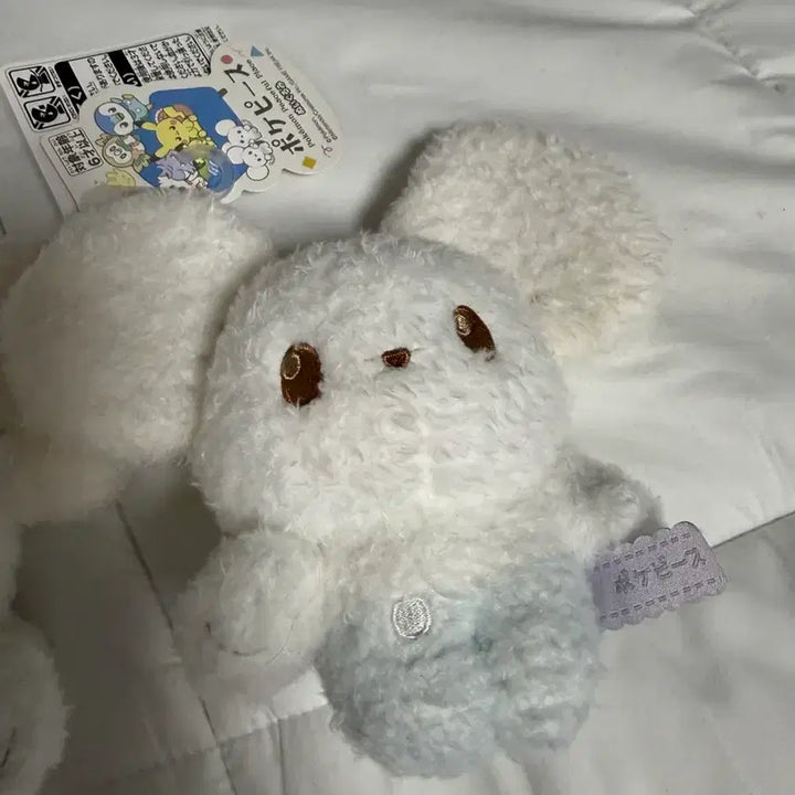 [SOLD OUT] [일본에서만 판매]일본 포켓몬센터 두리쥐인형