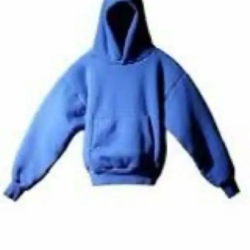 [BUNJANG] Yeezy Gap Perfect Hoodie / 이지 갭 YEEZY GAP 퍼펙트 후드