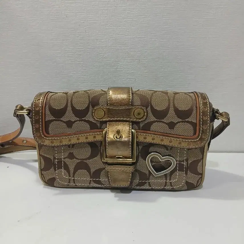[BUNJANG] Coach Crossbody Bag / 코치 크로스백