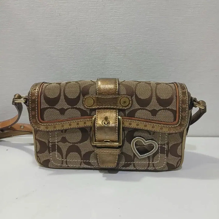 [BUNJANG] Coach Crossbody Bag / 코치 크로스백