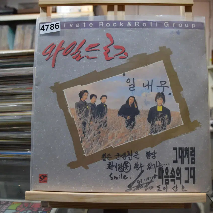 [BUNJANG] Wild Rose Like You LP Record / 와일드로즈 민트 : 그대처럼
